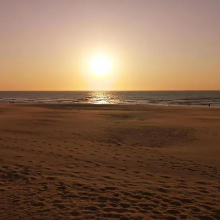 Chic Flat Near Beach, Cleaning Included Apartment Ostende